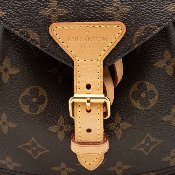 Louis Vuitton Monogram Canvas Montsouris NM Backpack - Picture 10 of 12